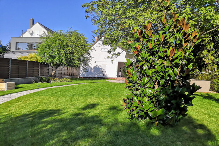 Csopak gyepszőnyeg telepítés