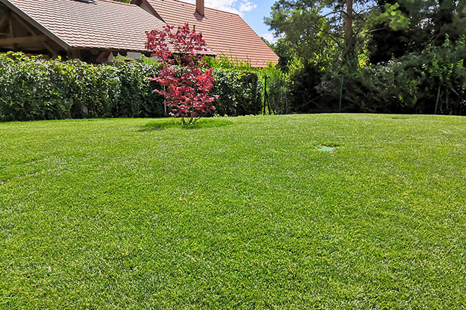 Gyep fűmagvetéssel Balatonkenesén