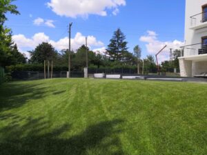 Read more about the article Kerti füvesítés házilag