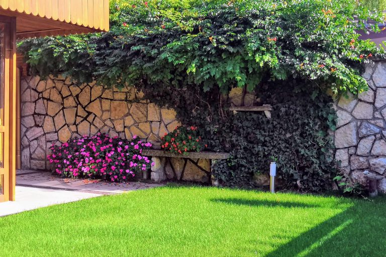 Gyep virágokkal és kúszónövényekkel