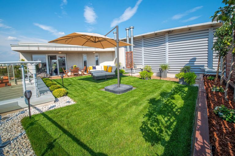 Gyepszőnyeg csepeli tetőkertben