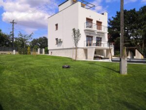 Read more about the article Nyári gyepszőnyeg ápolási tennivalók