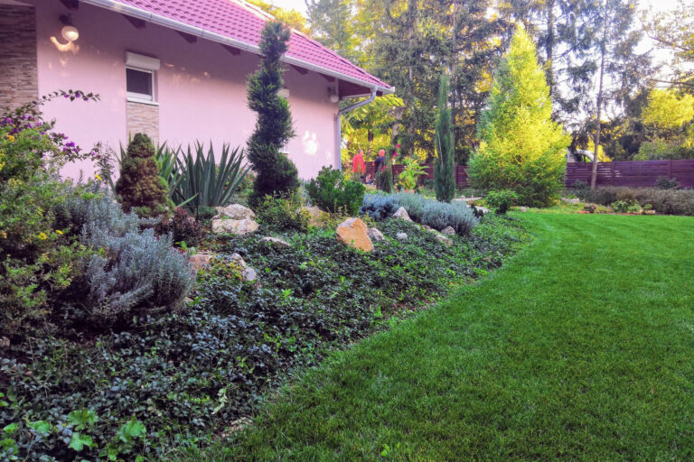 Siófoki gyepszőnyeg