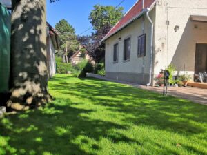 Read more about the article Gyeptelepítés