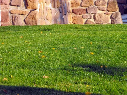 Gyepszőnyeg, gyeptelepítés